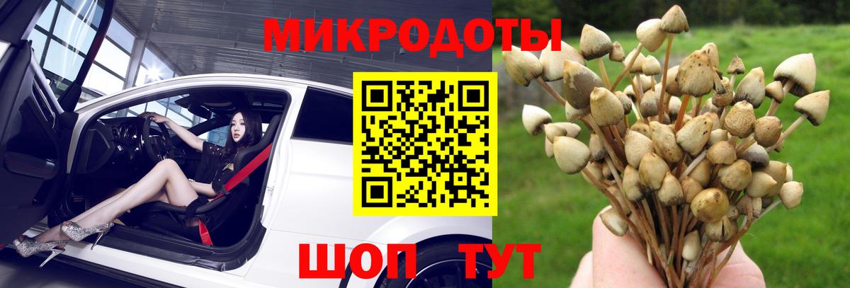 Галлюциногенные грибы Magic Shrooms Джанкой
